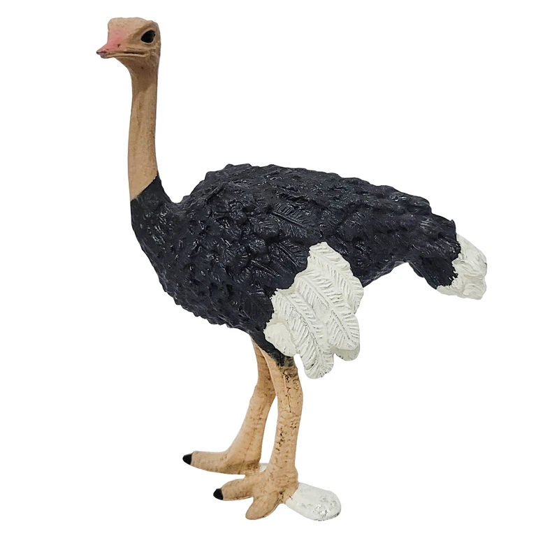 فیگور مدل شتر مرغ