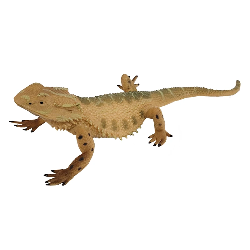 فیگور مدل مارمولک