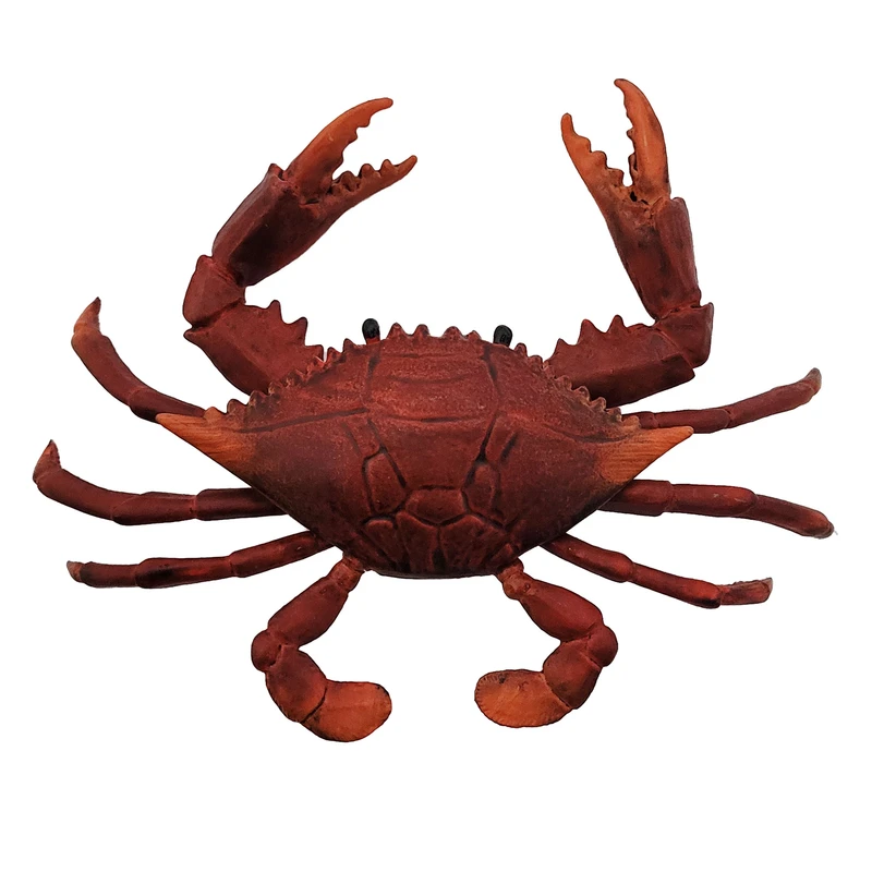 فیگور مدل خرچنگ قرمز