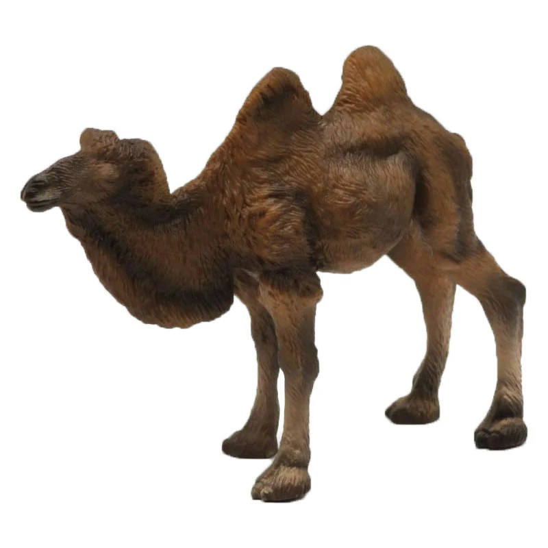 فیگور مدل شتر دو کوهان