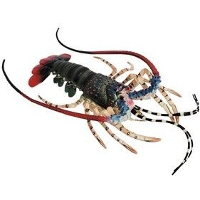 فیگور طرح حیوانات دریایی مدل لابستر