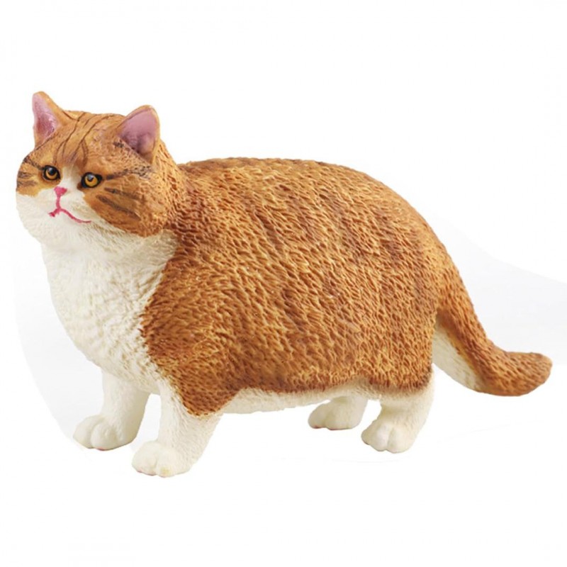 فیگور گربه ایرانی توپول