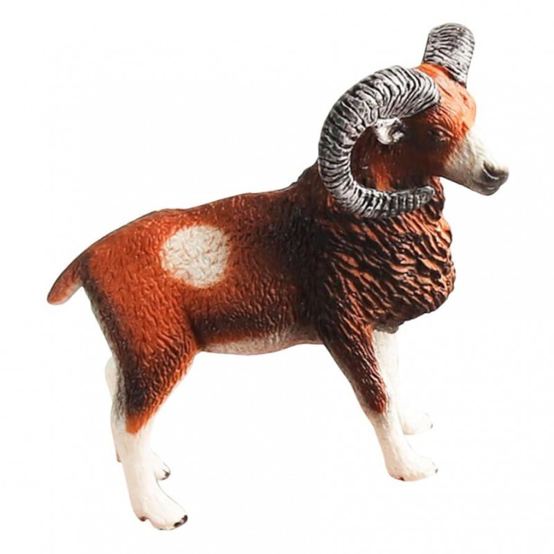 فیگور قوچ آرگالی اروپایی