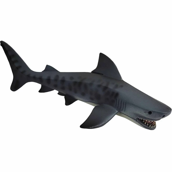 فیگور کوسه ببری