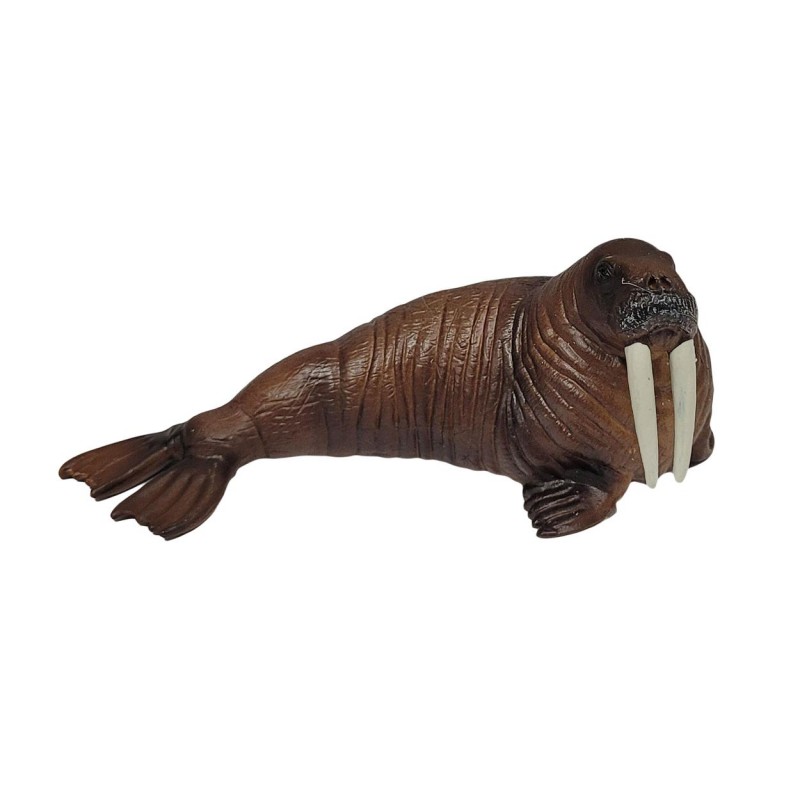 فیگور گراز دریایی