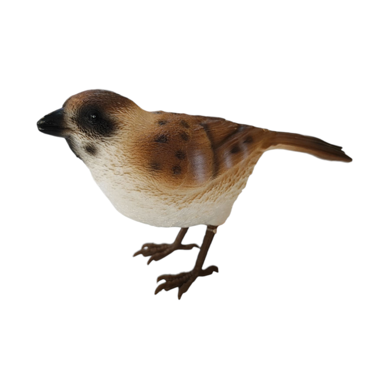 فیگور گنجشک بزرگ