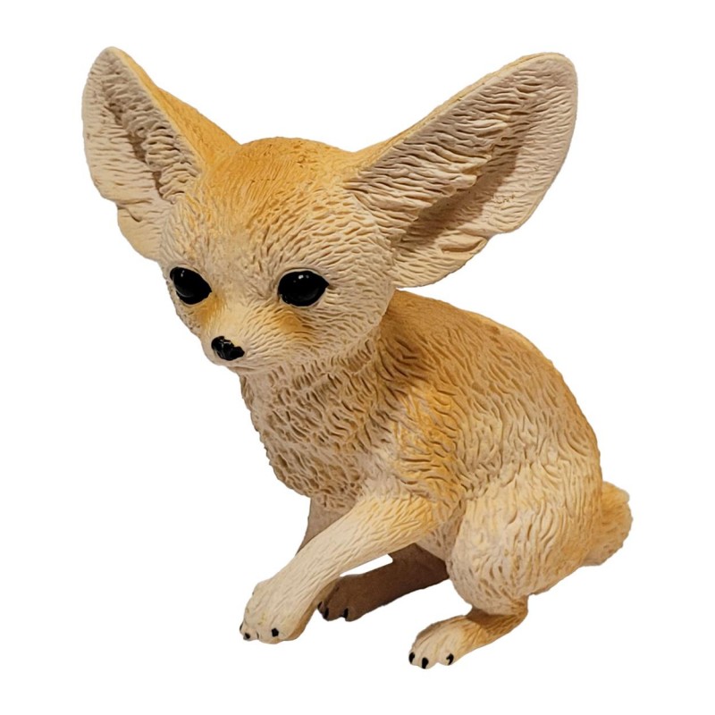 فیگور روباه گوش دراز