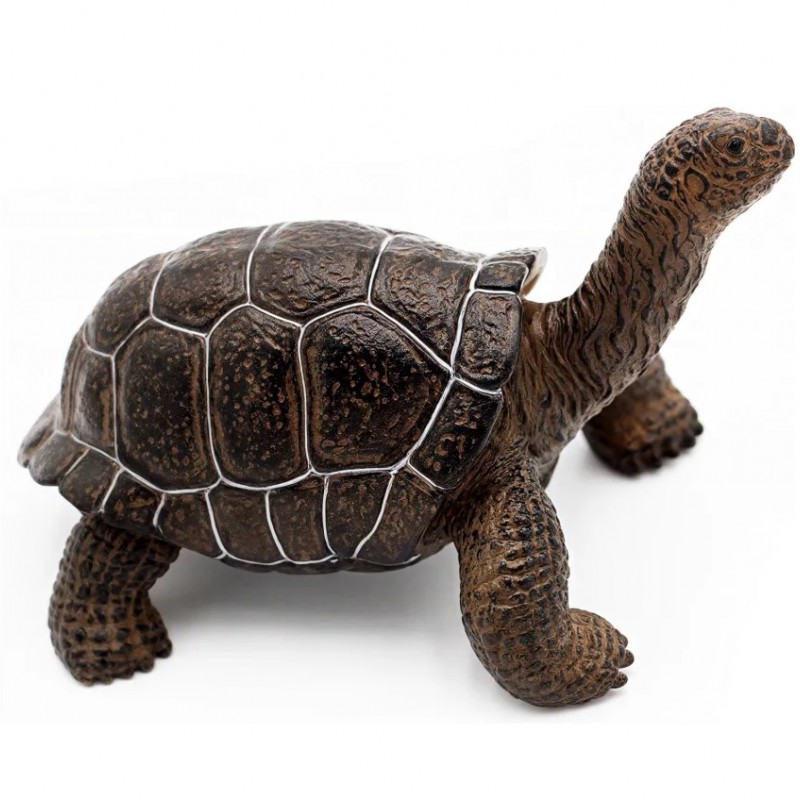 فیگور حیوانات لاکپشت قهوه ای بزرگ