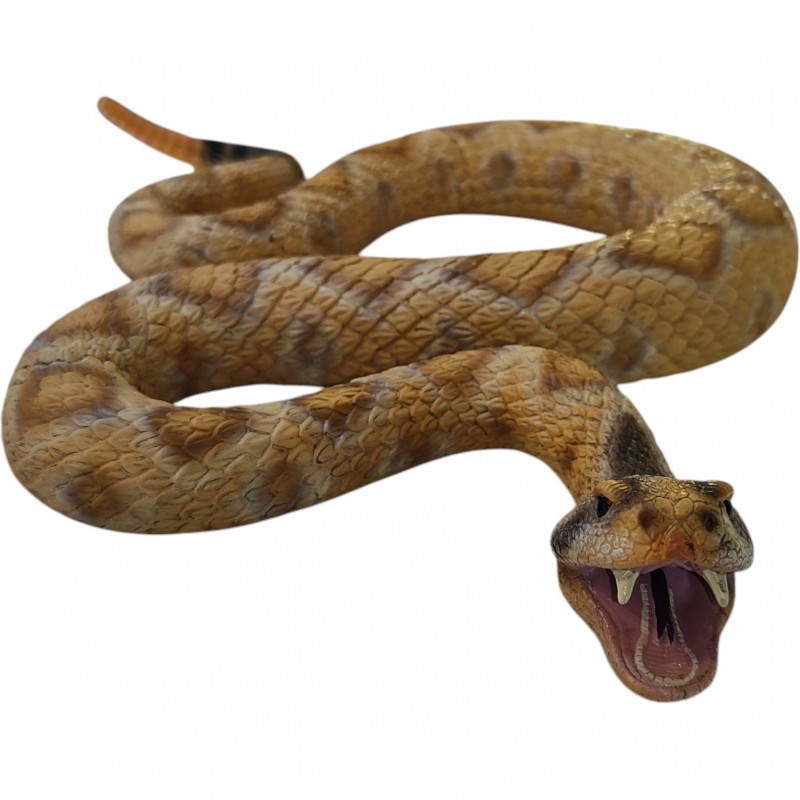 فیگور مار زنگی غربی بزرگ گوشتی