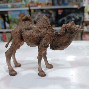 فیگور مدل شتر دو کوهان