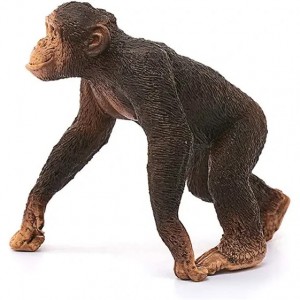 فیگور مدل شامپانزه نر Chimpanzee male