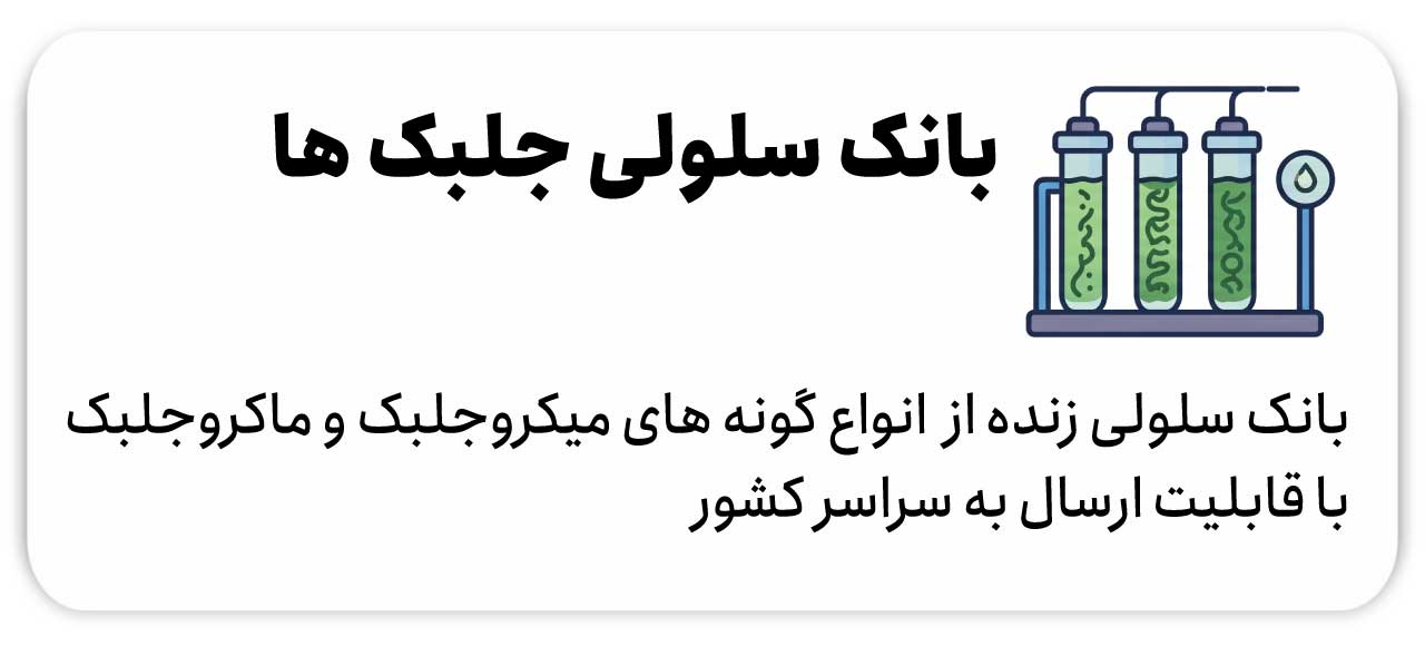 بانک سلولی جلبک ها