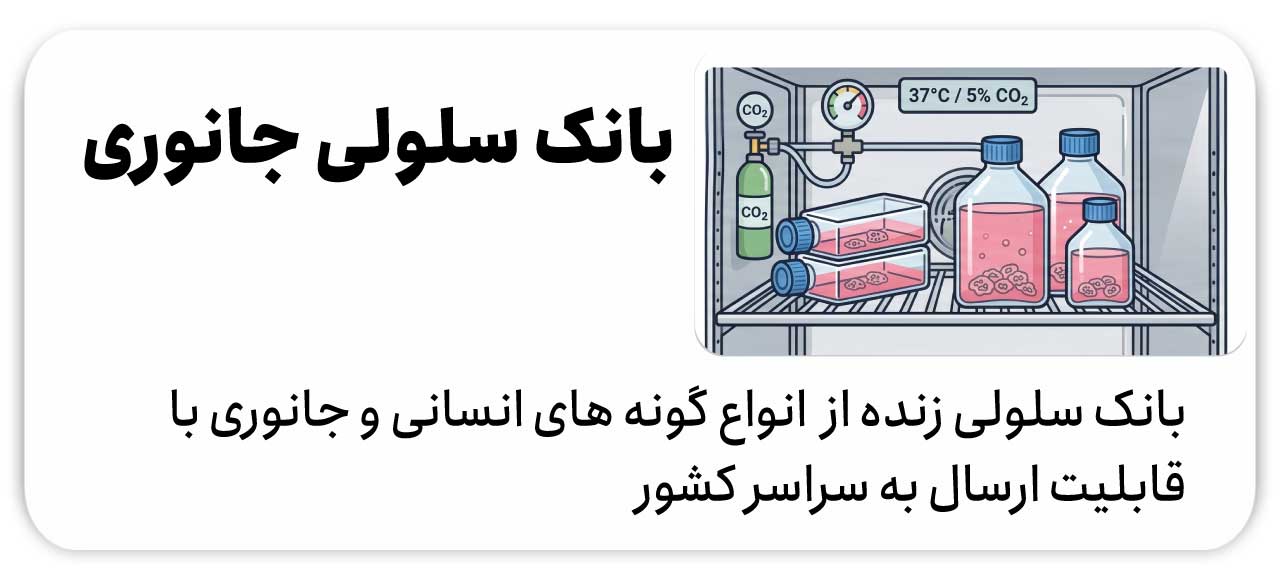 بانک سلولی جانوری