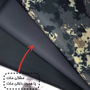 دیبا ممتاز پاستلی