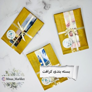پنل شناسنامه