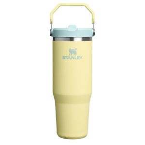 قمقمه استنلی اورجینال مدل Iceflow Flip Straw Tumbler گنجایش 0.89 لیتر