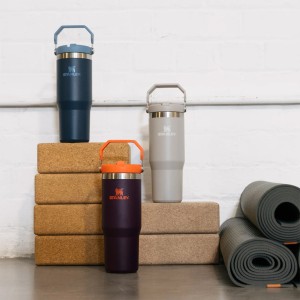 قمقمه استنلی اورجینال مدل Iceflow Flip Straw Tumbler گنجایش 0.89 لیتر