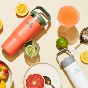 قمقمه استنلی اورجینال مدل Iceflow Flip Straw Tumbler گنجایش 0.89 لیتر