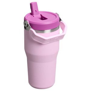 قمقمه استنلی اورجینال مدل IceFlow Flip Straw Tumbler 2.0 گنجایش 0.59 لیتر