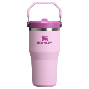 قمقمه استنلی اورجینال مدل IceFlow Flip Straw Tumbler 2.0 گنجایش 0.59 لیتر