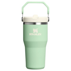قمقمه استنلی اورجینال مدل IceFlow Flip Straw Tumbler 2.0 گنجایش 0.59 لیتر