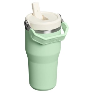 قمقمه استنلی اورجینال مدل IceFlow Flip Straw Tumbler 2.0 گنجایش 0.59 لیتر
