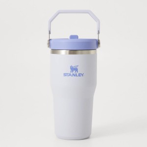 قمقمه استنلی اورجینال مدل IceFlow Flip Straw Tumbler 2.0 گنجایش 0.59 لیتر
