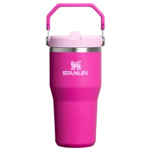 قمقمه استنلی اورجینال مدل IceFlow Flip Straw Tumbler 2.0 گنجایش 0.59 لیتر