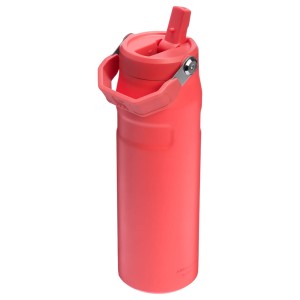 قمقمه استنلی نی دار اورجینال مدل IceFlow Bottle Flip Straw 2.0 گنجایش 0.7 لیتر