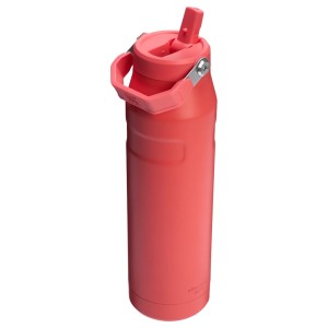قمقمه استنلی اورجینال مدل IceFlow Bottle Flip Straw 2.0 گنجایش 1.1 لیتر