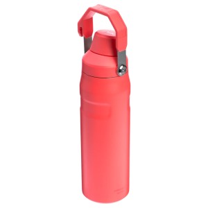 قمقمه آب استنلی اورجینال مدل IceFlow™ Fast Flow Bottle گنجایش 0.7 لیتر