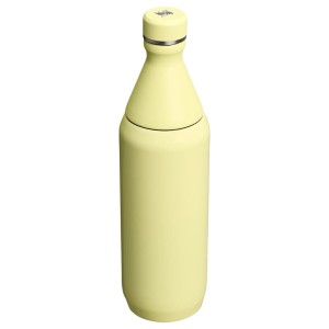 قمقمه استنلی اورجینال مدل The All Day Slim Bottle گنجایش 0.6 لیتر