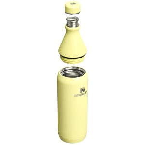 قمقمه استنلی اورجینال مدل The All Day Slim Bottle گنجایش 0.6 لیتر