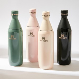 قمقمه استنلی اورجینال مدل The All Day Slim Bottle گنجایش 0.6 لیتر