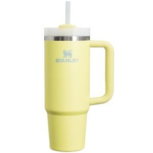 ماگ استنلی اورجینال مدل Quencher Tumbler H2.0 گنجایش 0.89 لیتر