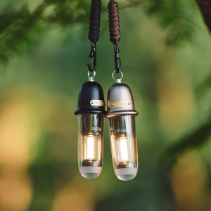 چراغ آویز نیچرهایک مدل Xun ye 2N1 کد CNK2350ZM010
