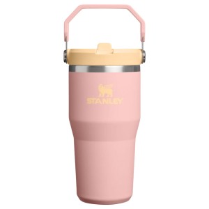 قمقمه استنلی اورجینال مدل IceFlow™ Flip Straw Tumbler 2.0 گنجایش 0.59 لیتر