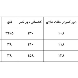 شلوارک مردانه سایز بزرگ برند کرویت | Crivit