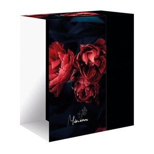 جعبه minerva 32 CM