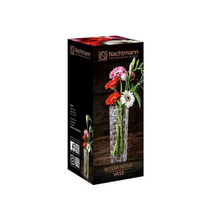 clear-nachtmann-vases-n82087-1f_600