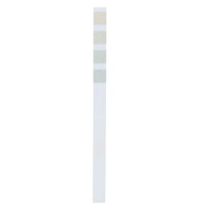 59f56ae2-157a-4f88-a6bdc9c2c66f93ac-696ff880-8010001131-20220321-152432