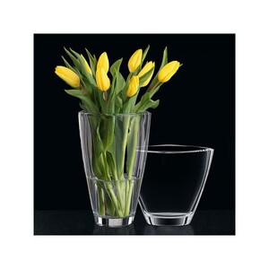 گلدان ناخمن مدل Nachtmann Carre 19 CM
