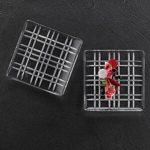 پیش دستی 2 عددی لاکچری Square 14 CM