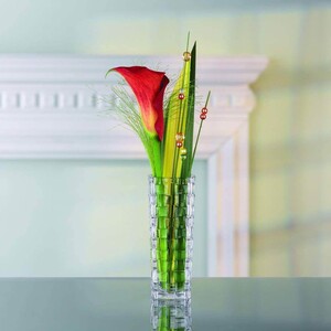 binh_cam_hoa_nachtmann_bossa_nova_80727_vase_28_cm_4_bd3d451fe62949808021a7a09fbb46a8_master
