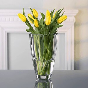 گلدان لاکچری  Nachtmann Carre 25 CM