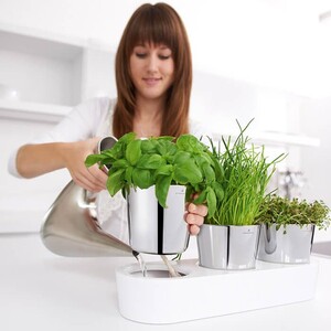 doniczki-na-ziola-auerhahn-herbs-30012506-6