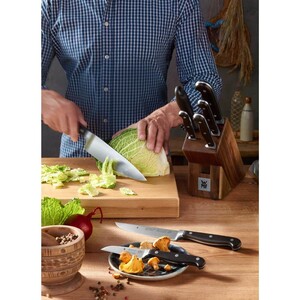 سرویس چاقو لوکس WMF SPITZENKLASSE Plus