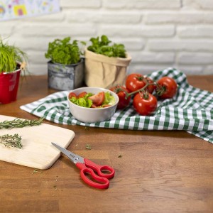 قیچی لوکس  کن ریکن مدل Kuhn Rikon Household Shears