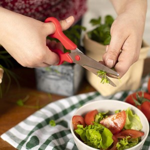 قیچی خردکن سبزی کن ریکن مدل Kuhn Rikon Household Shears