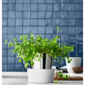 گلدان هوشمند دبلیو ام اف مدل WMF Gourmet